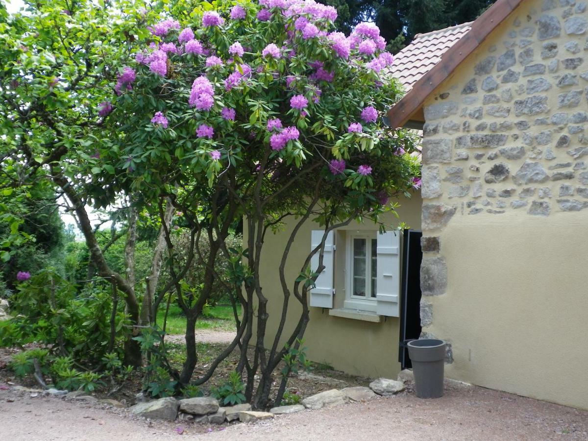 Le Cedre Enchante La Guiche Exterior foto