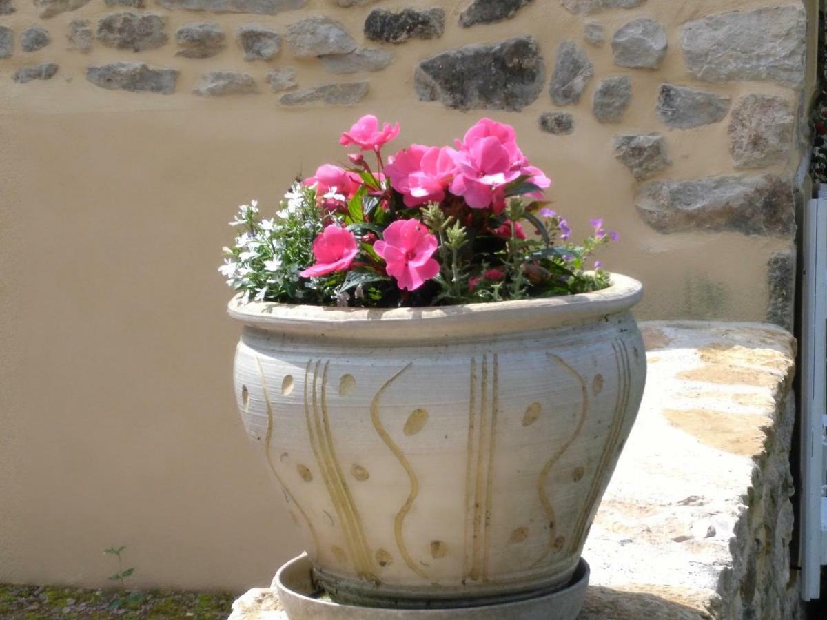 Le Cedre Enchante La Guiche Exterior foto