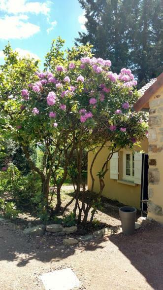 Le Cedre Enchante La Guiche Exterior foto